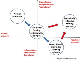 Ecosystem Simplification Enhancing the roles of ecosystem services in agriculture ...