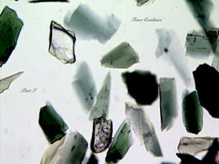 Trace Evidence
Part I
 