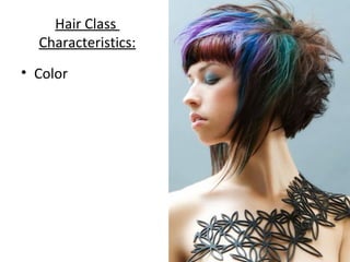 Hair Class
Characteristics:
• Color
 