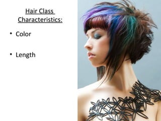 Hair Class
Characteristics:
• Color
• Length
 