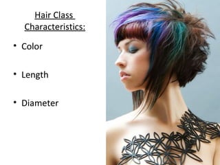 Hair Class
Characteristics:
• Color
• Length
• Diameter
 