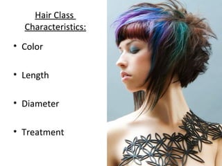 Hair Class
Characteristics:
• Color
• Length
• Diameter
• Treatment
 