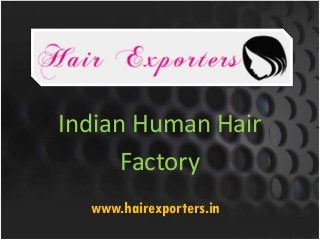 Indian Human Hair
Factory
www.hairexporters.in
 
