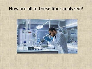 How are all of these fiber analyzed?
 