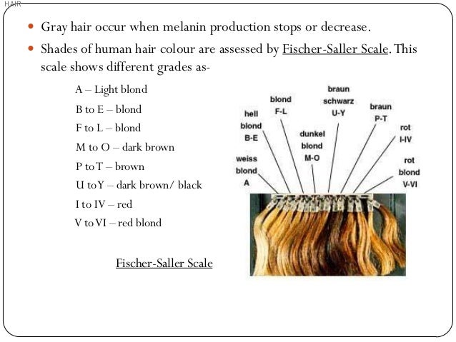Fischer Saller Scale Chart