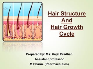 Hair Structure
And
Hair Growth
Cycle
Prepared by: Ms. Kajal Pradhan
Assistant professor
M.Pharm. (Pharmaceutics)
 