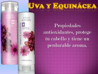 Propiedades
antioxidantes, protege
 tu cabello y tiene un
  perdurable aroma.
 