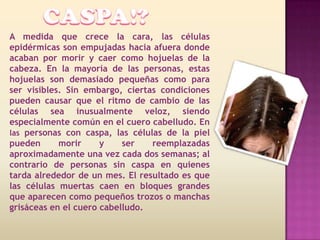A medida que crece la cara, las células
epidérmicas son empujadas hacia afuera donde
acaban por morir y caer como hojuelas de la
cabeza. En la mayoría de las personas, estas
hojuelas son demasiado pequeñas como para
ser visibles. Sin embargo, ciertas condiciones
pueden causar que el ritmo de cambio de las
células sea inusualmente veloz, siendo
especialmente común en el cuero cabelludo. En
las personas con caspa, las células de la piel
pueden      morir     y    ser   reemplazadas
aproximadamente una vez cada dos semanas; al
contrario de personas sin caspa en quienes
tarda alrededor de un mes. El resultado es que
las células muertas caen en bloques grandes
que aparecen como pequeños trozos o manchas
grisáceas en el cuero cabelludo.
 