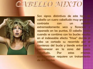 Son signos distintivos de este tipo de
cabello un cuero cabelludo muy graso en
contraste       con      un        cabello
extremadamente seco y florecido o
separado en las puntas. El cabello mixto
cuando se combina con los bucles resulta
en el indeseable efecto “frisse” donde el
cebo ve cortado su recorrido por el
comienzo del bucle y tiende entonces a
permanecer en la zona del cuero
cabelludo.      Por     estas     mismas
características requiere un tratamiento
de dos frentes.
 