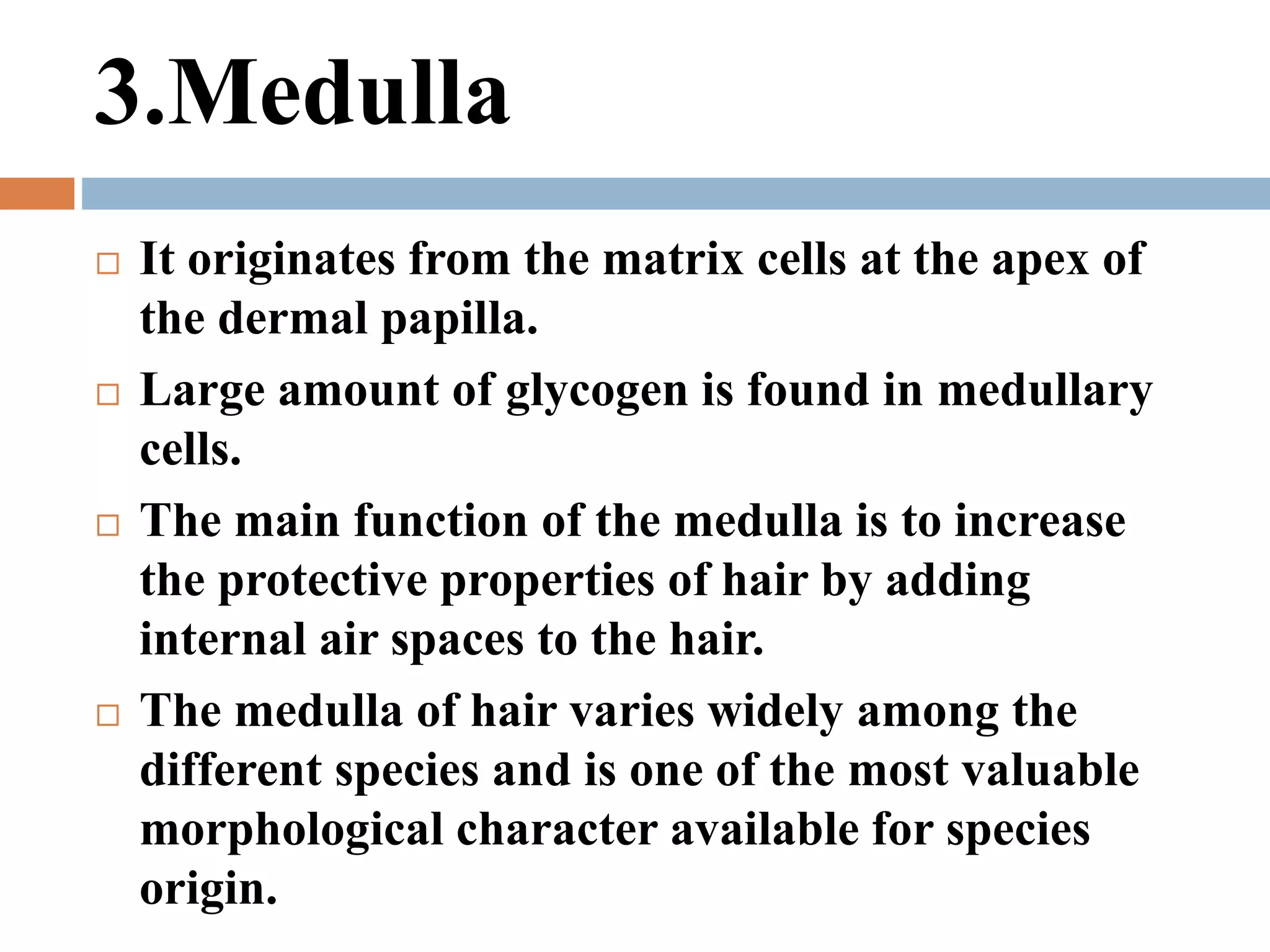 Hair as a forensic evidence | PPT