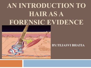 AN INTRODUCTION TO
HAIR AS A
FORENSIC EVIDENCE
BY:TEJASVI BHATIA
 