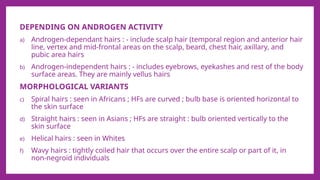 Hair Basics INTRODUCTION TO HAIR LOSS PPTX hair-basics-introduction-to-hair-loss-pptx