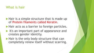 What is hair
 Hair is a simple structure that is made up
of Protein filaments called Keratin.
 Hair acts as a barrier to foreign particles.
 It's an important part of appearance and
creates gender identity.
 Hair is the only body structure that can
completely renew itself without scarring.
 