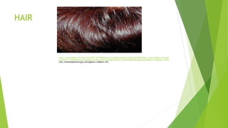 HAIR
https://www.google.com/search?q=WHAT+IS+HAIR&source=lnms&tbm=isch&sa=X&ved=0ahUKEwhttps://www.google.com/searc
h?q=WHAT+IS+HAIR&source=lnms&tbm=isch&sa=X&ved=0ahUKEwjUlL305_nVAhWoD8AKHfUeAgIQ_AUICigB&biw=1600&bih=794jUl
L305_nVAhWoD8AKHfUeAgIQ_AUICigB&biw=1600&bih=794.
 