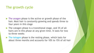 The growth cycle
 The anagen phase is the active or growth phase of the
hair. Most hair is constantly growing and spends three to
four years in this stage
 The catagen phase is a transitional stage, and 3% of all
hairs are in this phase at any given time. It lasts for two
to three weeks
 The telogen phase is the resting phase, which lasts for
about three months and accounts for 10% to 15% of all hair
 