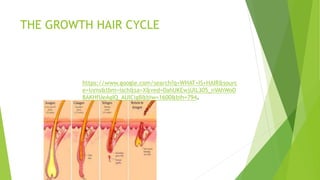 THE GROWTH HAIR CYCLE
https://www.google.com/search?q=WHAT+IS+HAIR&sourc
e=lnms&tbm=isch&sa=X&ved=0ahUKEwjUlL305_nVAhWoD
8AKHfUeAgIQ_AUICigB&biw=1600&bih=794.
 