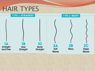 HAIR TYPES
 