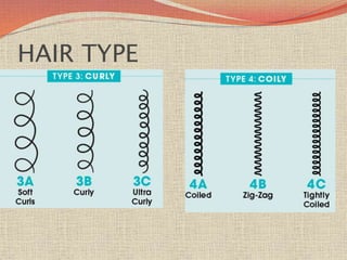 HAIR TYPE
 