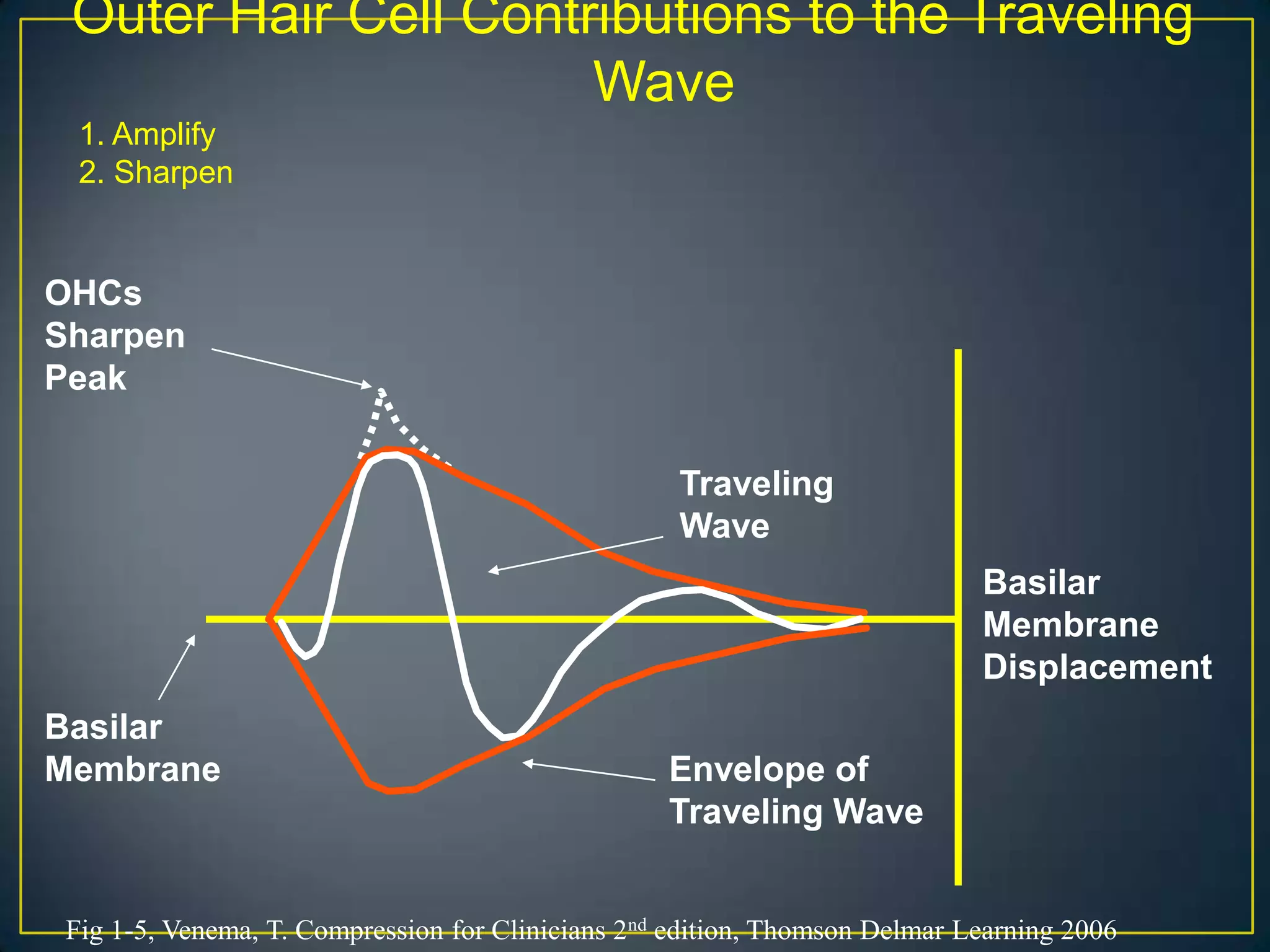 Outer Hair Cell Contributions to the Traveling
                      Wave
  1. Amplify
  2. Sharpen


OHCs
Sharpen
Peak

                                                    Traveling
                                                    Wave
                                                                             Basilar
                                                                             Membrane
                                                                             Displacement
Basilar
Membrane                                           Envelope of
                                                   Traveling Wave


 Fig 1-5, Venema, T. Compression for Clinicians 2nd edition, Thomson Delmar Learning 2006
 