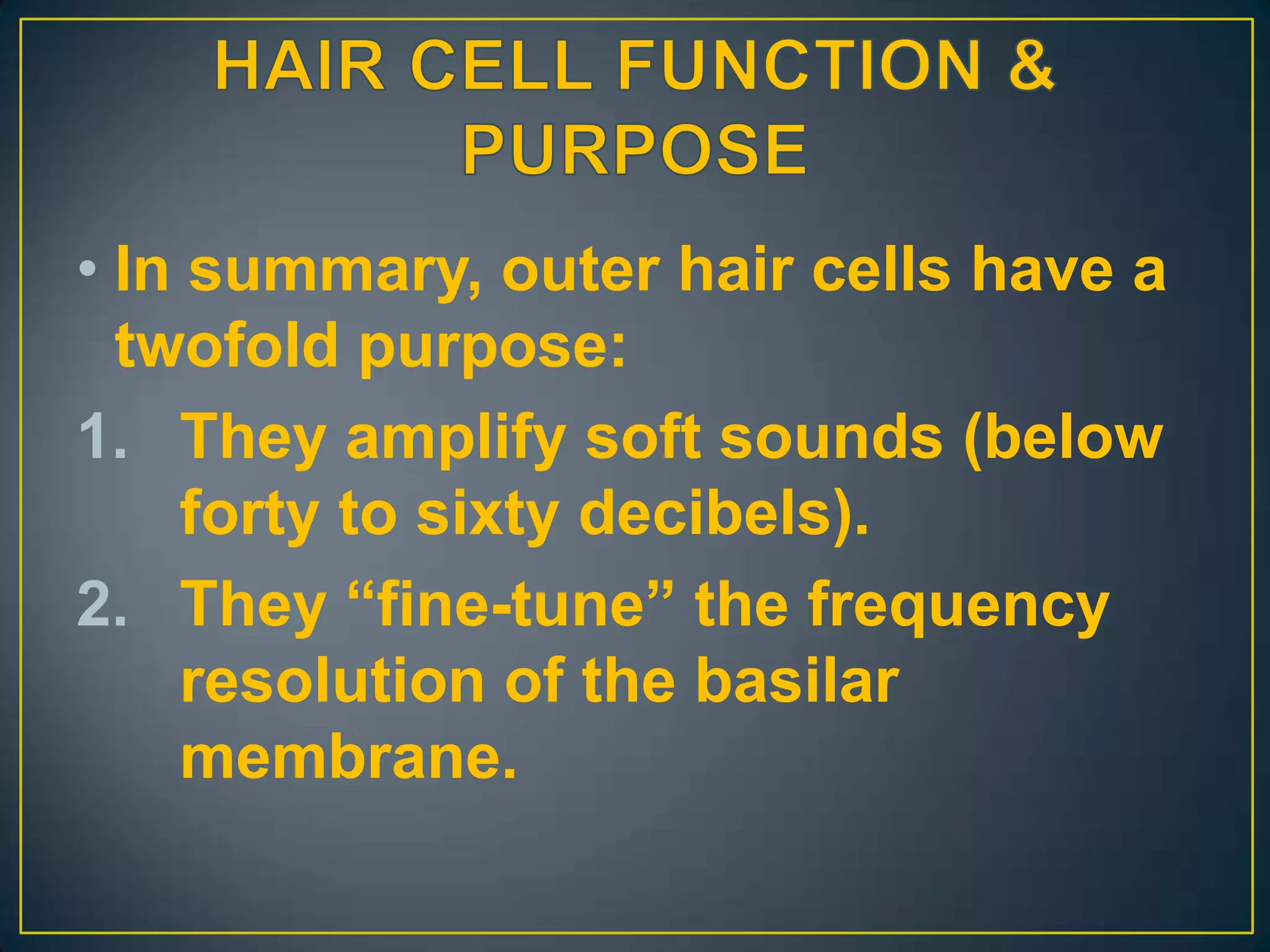 • In summary, outer hair cells have a
  twofold purpose:
1. They amplify soft sounds (below
     forty to sixty decibels).
2. They “fine-tune” the frequency
     resolution of the basilar
     membrane.
 