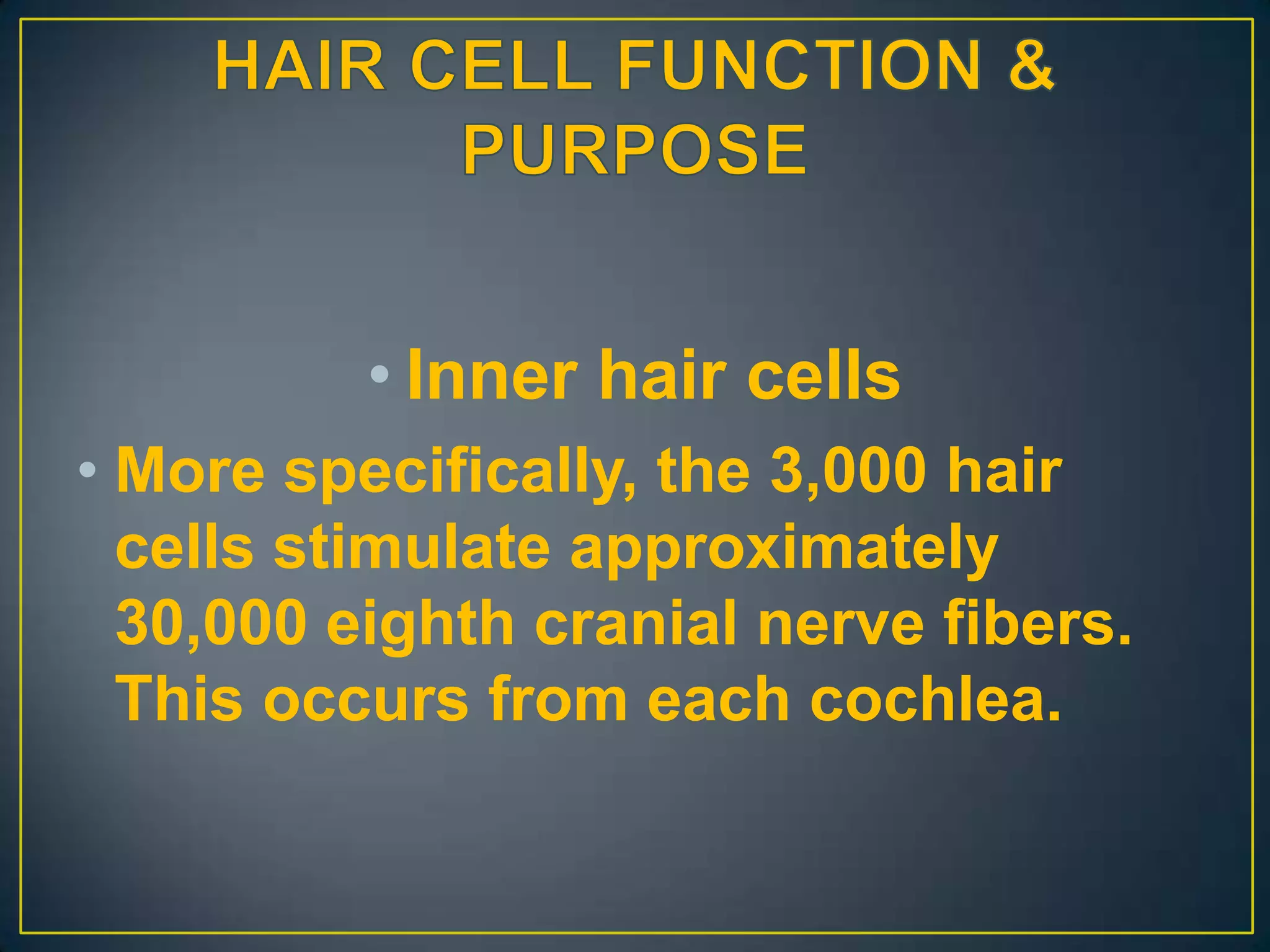 • Inner hair cells
• More specifically, the 3,000 hair
  cells stimulate approximately
  30,000 eighth cranial nerve fibers.
  This occurs from each cochlea.
 