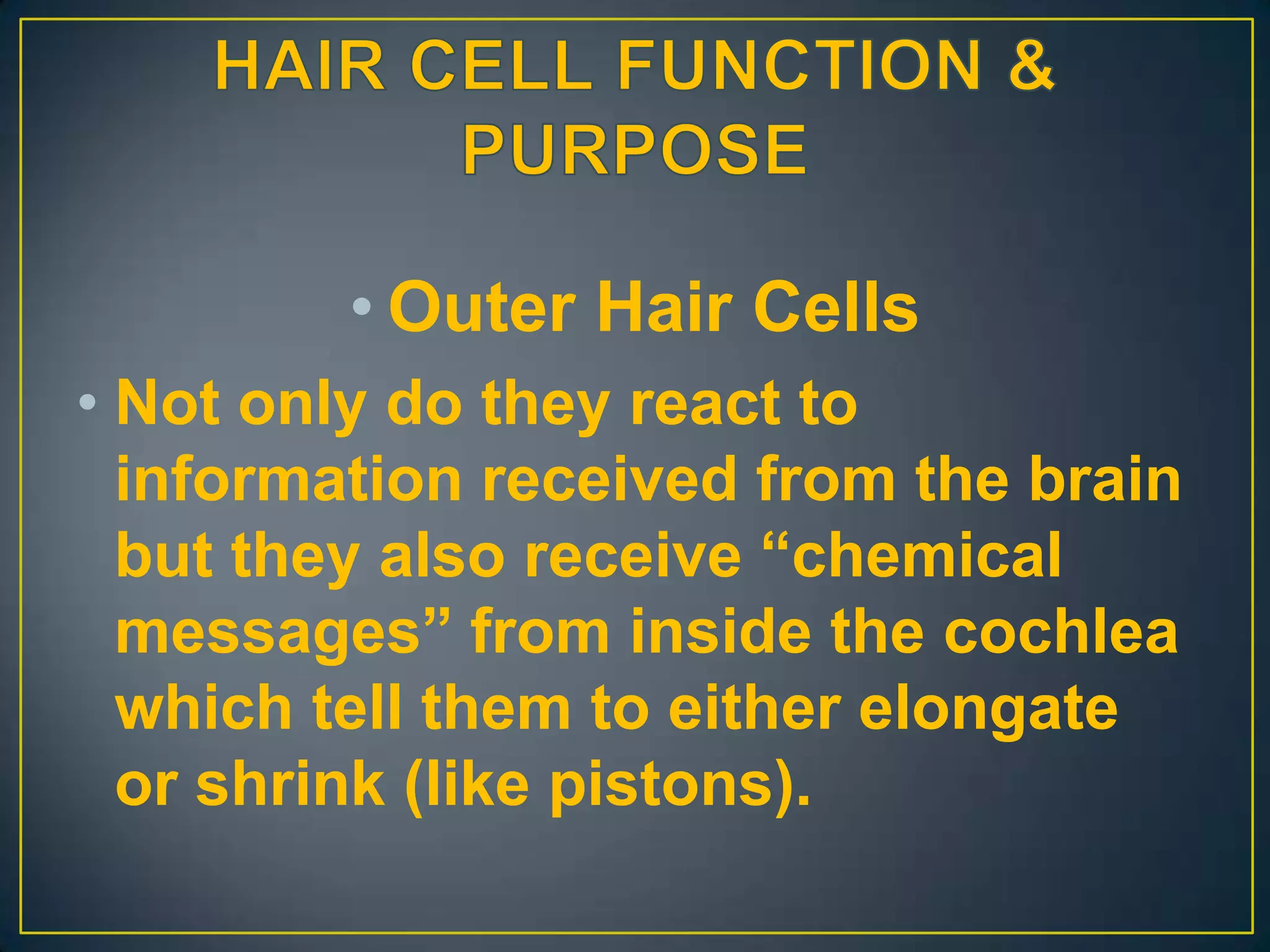 • Outer Hair Cells
• Not only do they react to
  information received from the brain
  but they also receive “chemical
  messages” from inside the cochlea
  which tell them to either elongate
  or shrink (like pistons).
 