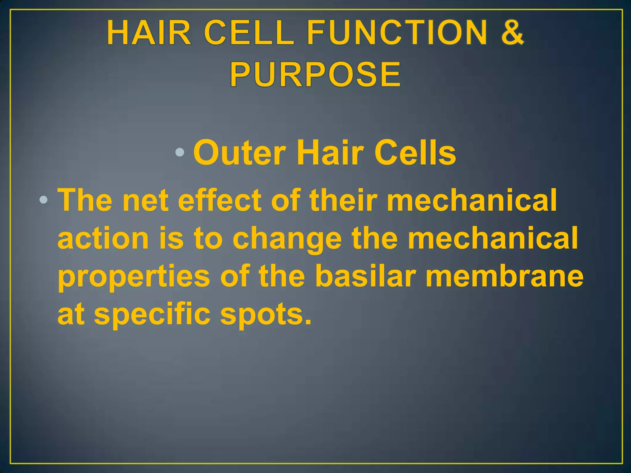 • Outer Hair Cells
• The net effect of their mechanical
  action is to change the mechanical
  properties of the basilar membrane
  at specific spots.
 