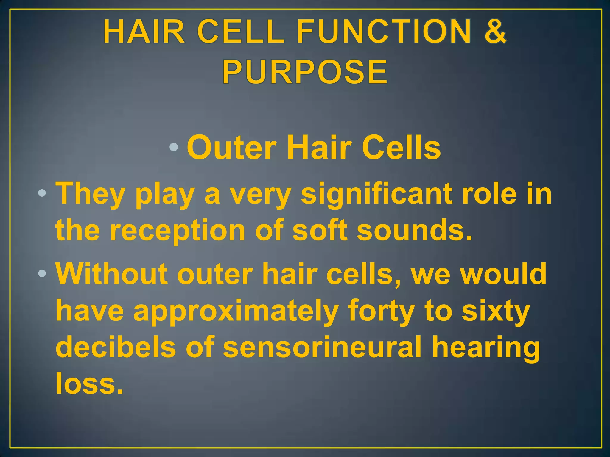 • Outer Hair Cells
• They play a very significant role in
  the reception of soft sounds.
• Without outer hair cells, we would
  have approximately forty to sixty
  decibels of sensorineural hearing
  loss.
 