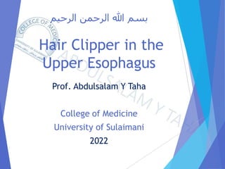 ‫الرحيم‬ ‫الرحمن‬ ‫هللا‬ ‫بسم‬
Hair Clipper in the
Upper Esophagus
Prof. Abdulsalam Y Taha
College of Medicine
University of Sulaimani
2022
 