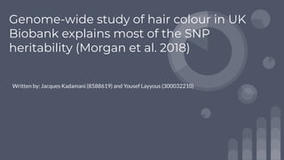 Genome-wide study of hair colour in UK
Biobank explains most of the SNP
heritability (Morgan et al. 2018)
Written by: Jacques Kadamani (8588619) and Yousef Layyous (300032210)
 