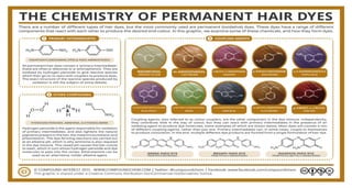 Hair Color Science Hair Colour Basics | PPTX