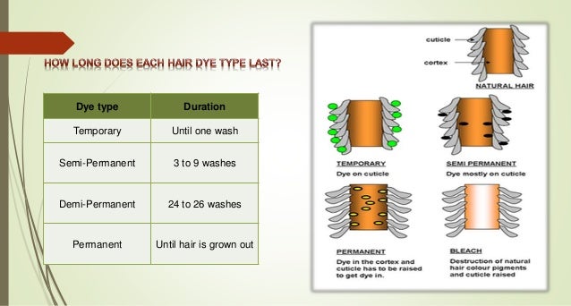 Hair Colour Basics