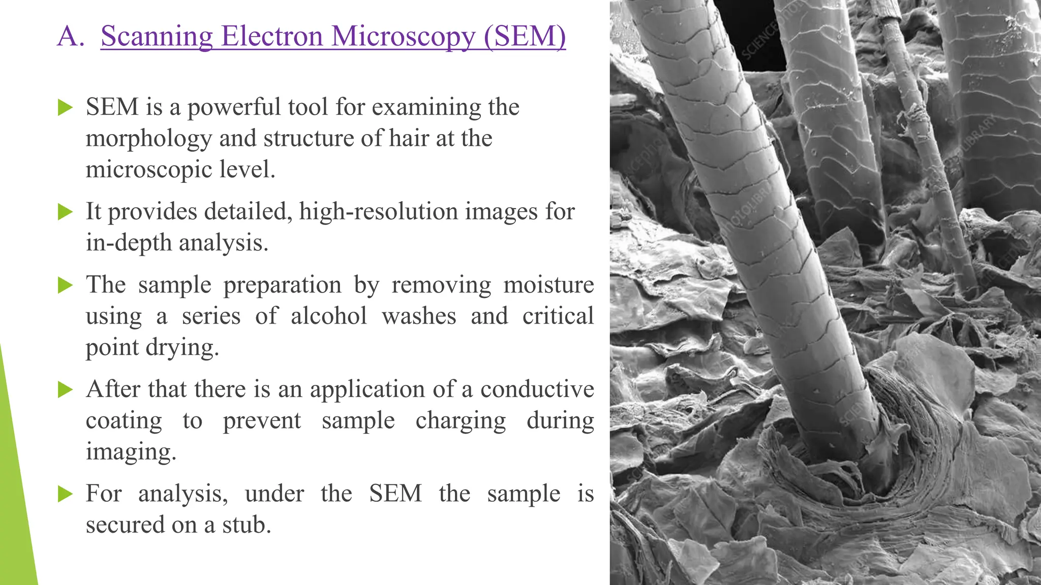 A. Scanning Electron Microscopy (SEM)
 SEM is a powerful tool for examining the
morphology and structure of hair at the
microscopic level.
 It provides detailed, high-resolution images for
in-depth analysis.
 The sample preparation by removing moisture
using a series of alcohol washes and critical
point drying.
 After that there is an application of a conductive
coating to prevent sample charging during
imaging.
 For analysis, under the SEM the sample is
secured on a stub.
 