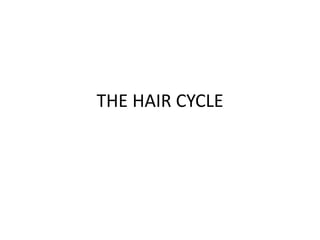THE HAIR CYCLE

 