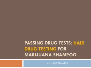 PASSING DRUG TESTS: HAIR
DRUG TESTING FOR
MARIJUANA SHAMPOO
CALL :- 888.516.6120

 