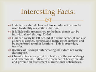 Hair evidence | PPT
