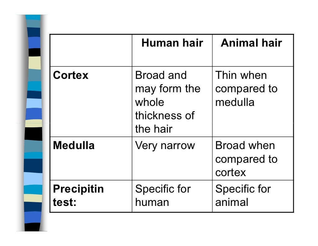 Hair examination