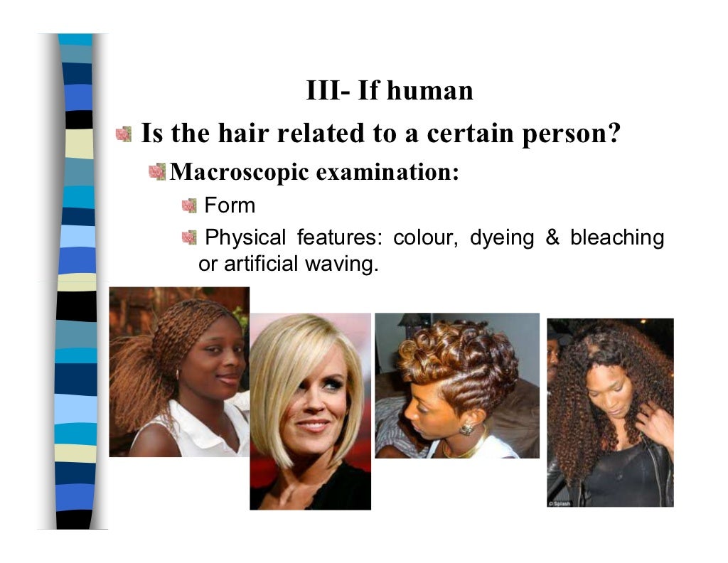 Hair examination