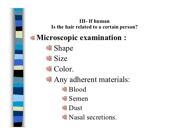 Hair examination