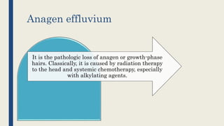 Anagen effluvium
It is the pathologic loss of anagen or growth-phase
hairs. Classically, it is caused by radiation therapy
to the head and systemic chemotherapy, especially
with alkylating agents.
 