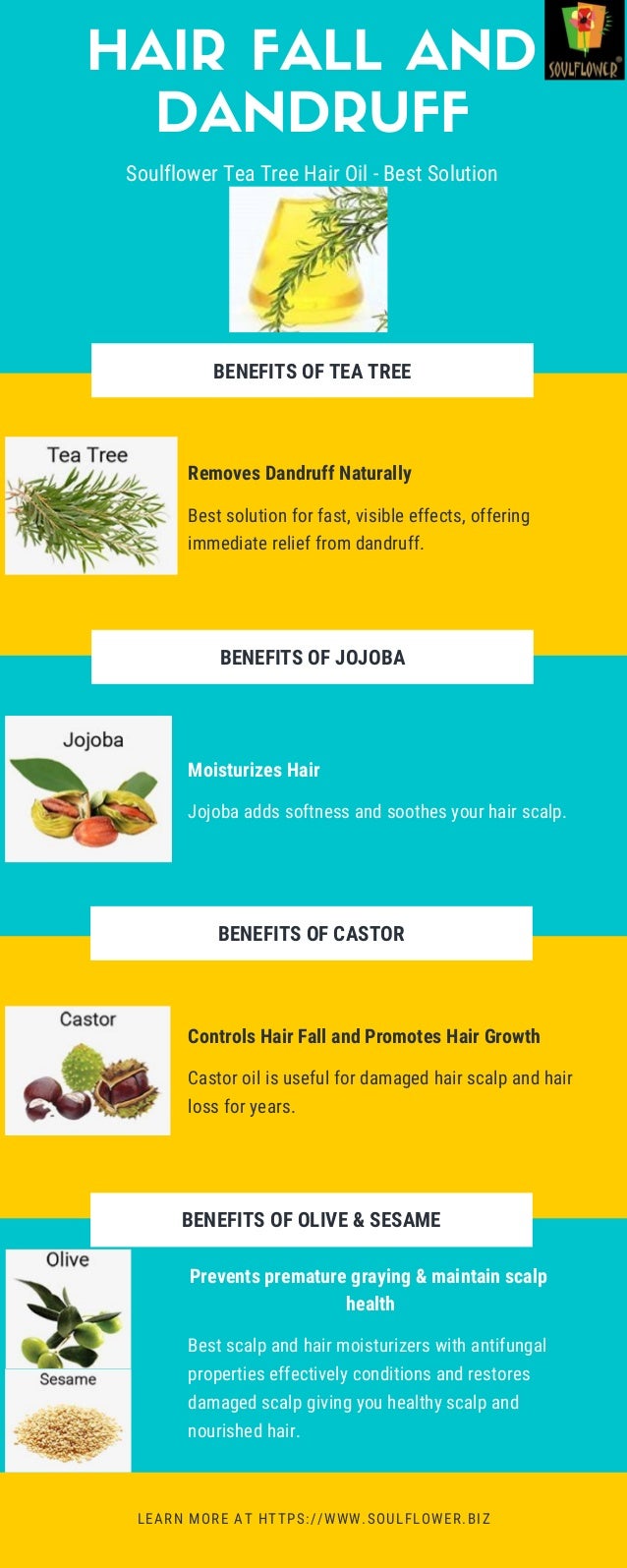 Get Rid Of Hair Fall And Dandruff