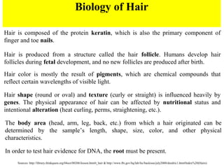Hair fibers | PPT