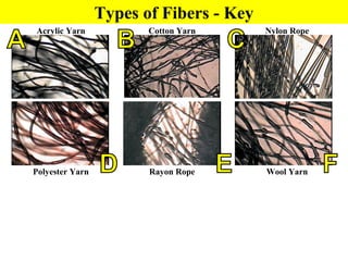 Hair fibers