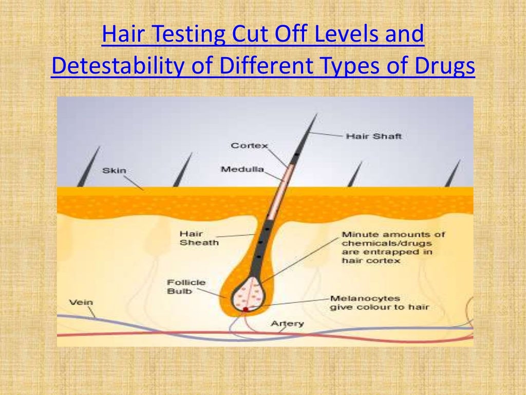 Hair follicle drug test process and cost