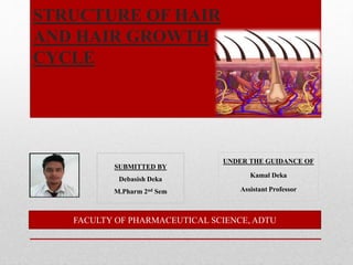 STRUCTURE OF HAIR
AND HAIR GROWTH
CYCLE
UNDER THE GUIDANCE OF
Kamal Deka
Assistant Professor
SUBMITTED BY
Debasish Deka
M.Pharm 2nd Sem
FACULTY OF PHARMACEUTICAL SCIENCE, ADTU
 