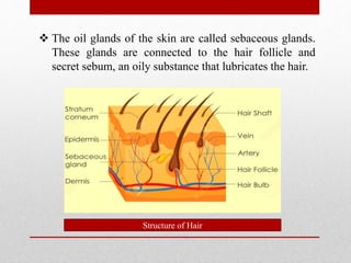 Structure of Hair and Hair growth cycle | PPT