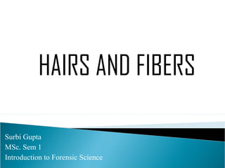 Surbi Gupta
MSc. Sem 1
Introduction to Forensic Science
HAIRS AND FIBERS
 
