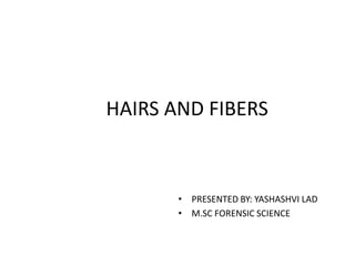 HAIRS AND FIBERS
• PRESENTED BY: YASHASHVI LAD
• M.SC FORENSIC SCIENCE
 