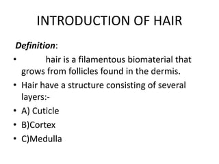 The Complete Dictionary of Hair Terminology in 2023