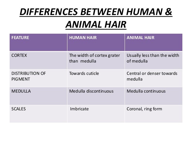 human hair and animal hair